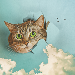 国产热妇BBBBBAAAA
